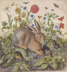Zając wśród roślin, 1582