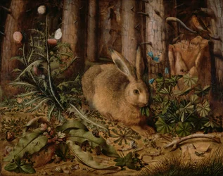 Zając w lesie