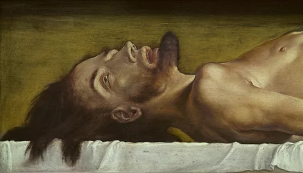 Ciało martwego Chrystusa, detal głowy, 1521