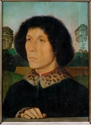 Portret mężczyzny z krajobrazem (dyszenie)