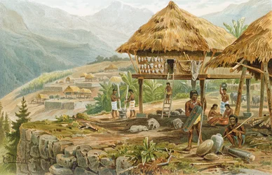 Gospodarstwo Igorotów na Luzonie, Filipiny, z «Historii ludzkości», t. 1, profesora Friedricha Ratzela, 1896