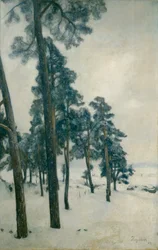Z wody Bogstad