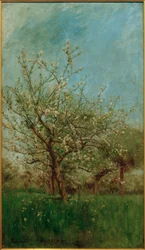 Kwitnące drzewa Uerdenbach