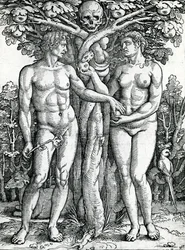 Upadek Adama i Ewy, około 1525-27