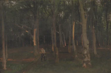 Las o zachodzie słońca