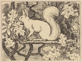 Ilustracja do podręcznika: Eichhorn
