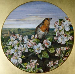 Robin wśród kwiatów
