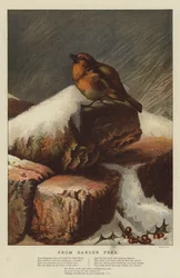 Z Danger Free (chromolitho)