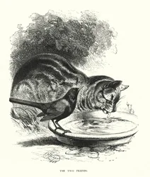 Dwóch przyjaciół (grawerowanie)