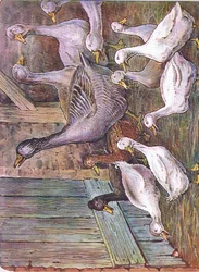Dlaczego deklaruję, 1920