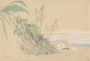 Aloes i opuncja, Tarragona, Hiszpania