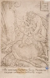 Herakles chwytający hinda kerynejskiego, z serii:  The Labours of Hercules (13)