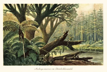 Archegosaurus decheni nad rzeką w pierwotnej dżungli.