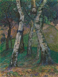 Brzozy w Barkenhoff, 1913