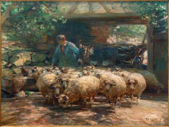 Wypędzając się ze stada owiec,