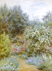 Róże w ogrodzie Gertrudy Jekyll, Munstead Wood, Surrey (akwarela)