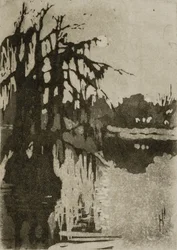 Drzewa cyprysowe