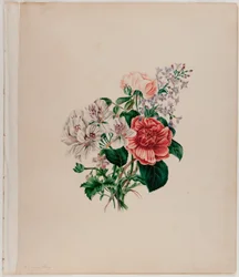 Bukiet św. Leona, ok. 1842 (akwarela na papierze)