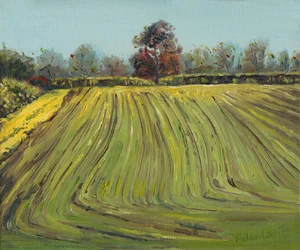 Bruzdy, 2008