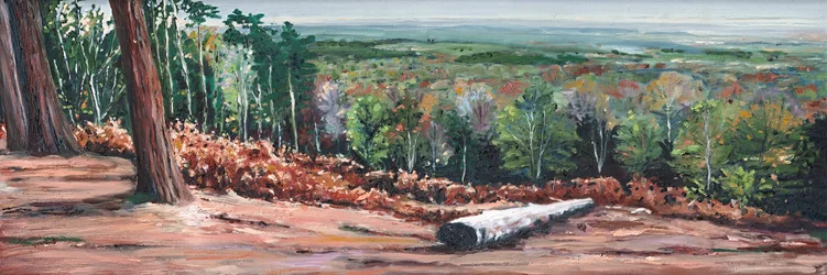Wysoki grzbiet, 2009