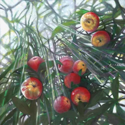 Nowe światło na Eden, 2016,