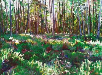 Światło słoneczne na Heather, 2011