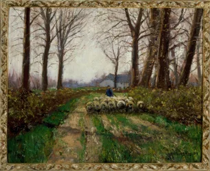 Stado owiec