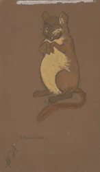 Popielica (projekt kostiumów do filmu Alicja w Krainie Czarów, 1915)