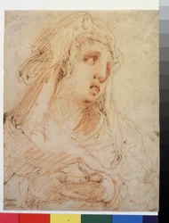 Portret kobiety (Marie Madeleine) (rysunek tuszem)