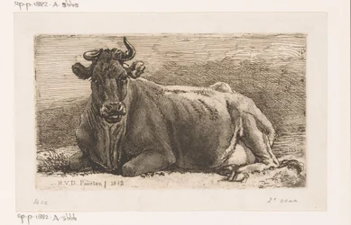 Leżąca krowa