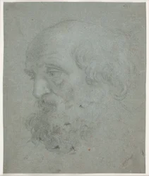 Głowa brodatego mężczyzny (Apostoł Piotr)