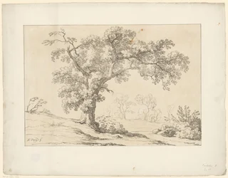 Drzewo w krajobrazie Tentamina Lithographica (tytuł serii) Włoskie pejzaże (tytuł serii)