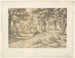 leśny widok Tentamina Lithographica (tytuł serii) Włoskie pejzaże (tytuł serii)