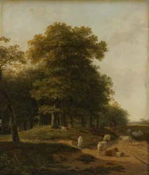 Krajobraz Gelder