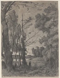 Leśny krajobraz nad rzeką