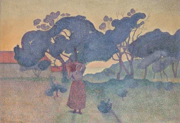 Farma Wieczorna, 1893.