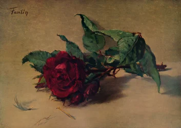 Czerwona Róża, ok. 1864, 1938 r