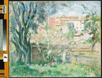 Ogród artysty w Cannet, 1931