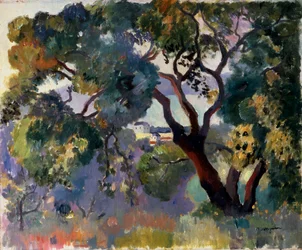 „Krajobraz w Saint-Tropez”, 1905.
