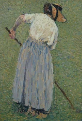 Sianokosarz