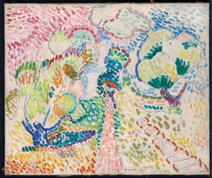 Drzewa oliwne w Collioure