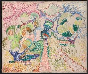 Drzewa oliwne w Collioure