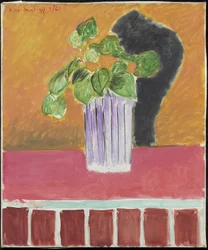 Oddział Ivy