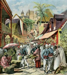Francuska armia na Madagaskarze, 1895 (ilustracja)