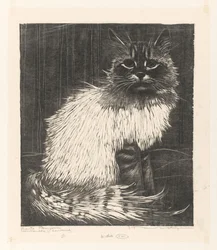 Bonte Angora (oryginalny tytuł na obiekcie)