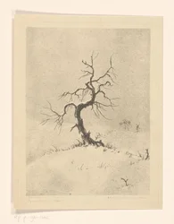 Lonely Tree (oryginalny tytuł na obiekcie)