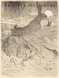 Walc Królików, 1895.