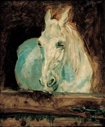 Biały koń "Gazela", 1881 r.
