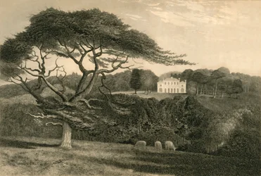 "Wzgórze Wiatraka", 1835.