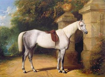 Siwy koń przy bramach parku, 1851